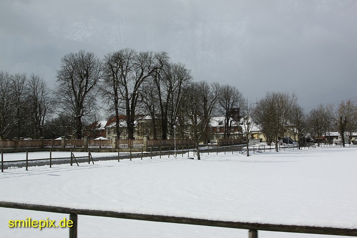 Ludwigsburg 6.3.10 (0388).JPG